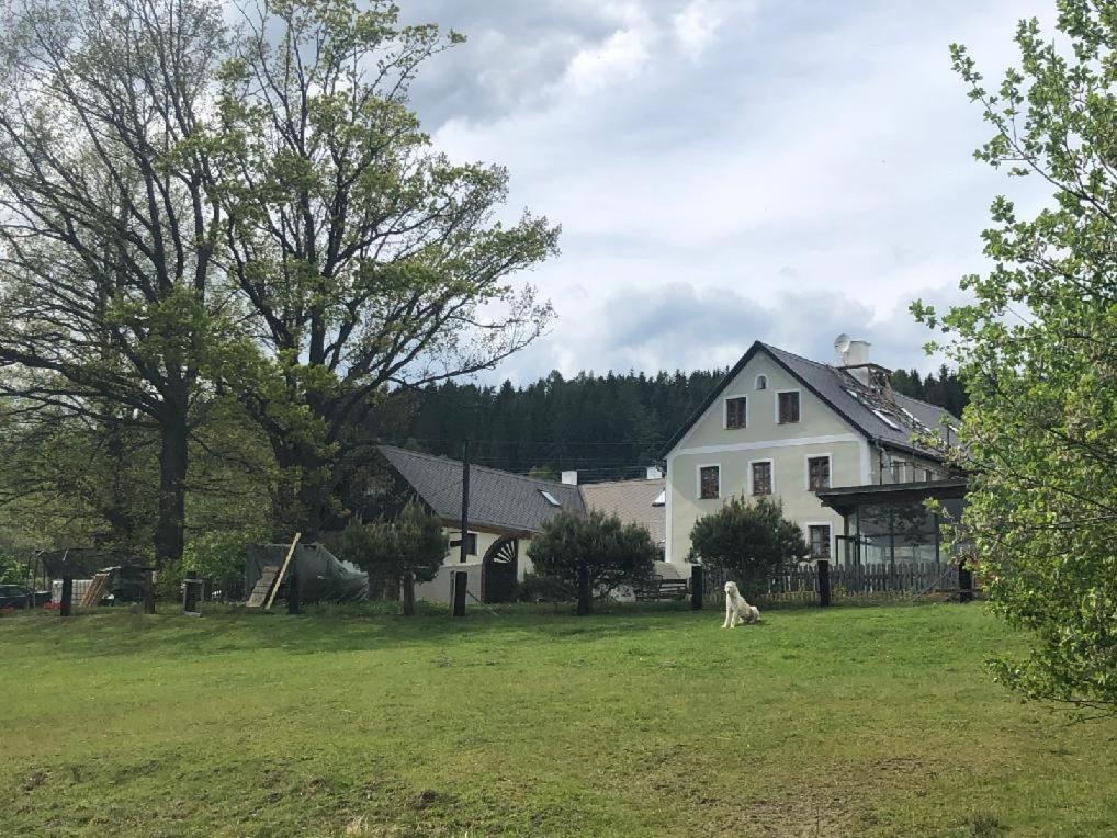 Apartman Malsin Buitenkant foto